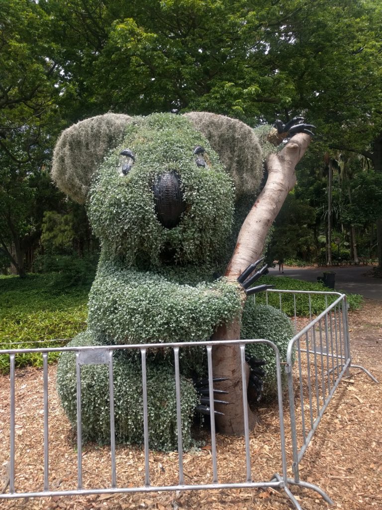 Koala végétal