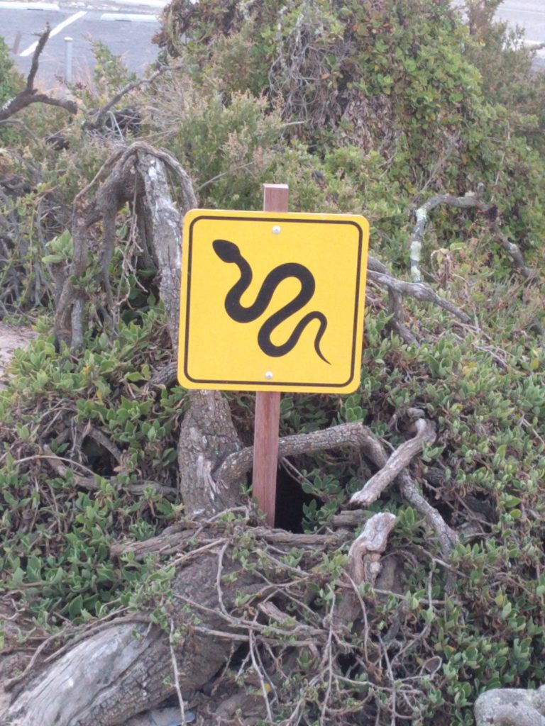 Attention aux Serpents...