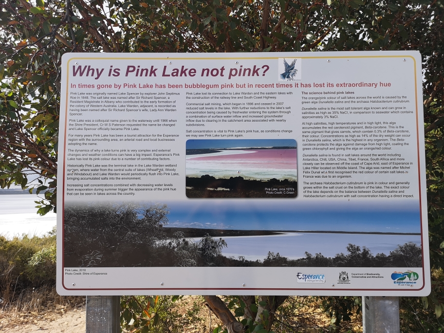 Explications sur le pourquoi qu'il est pas rose, le lac