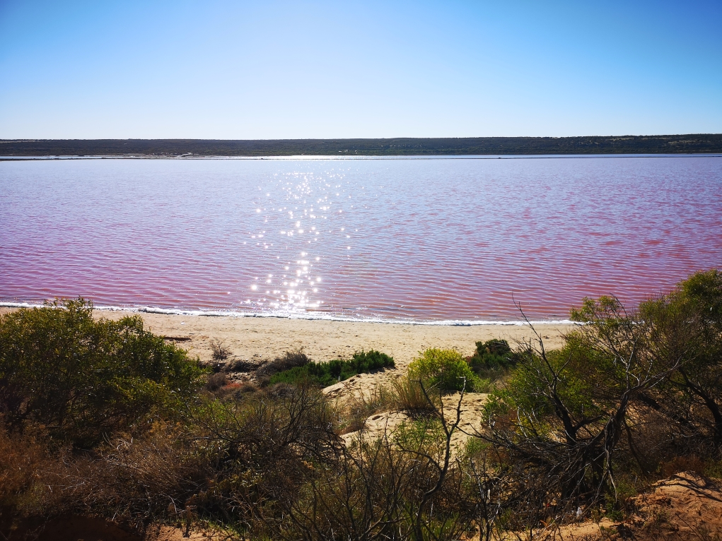 Encore un beau reflet sur le lac rose