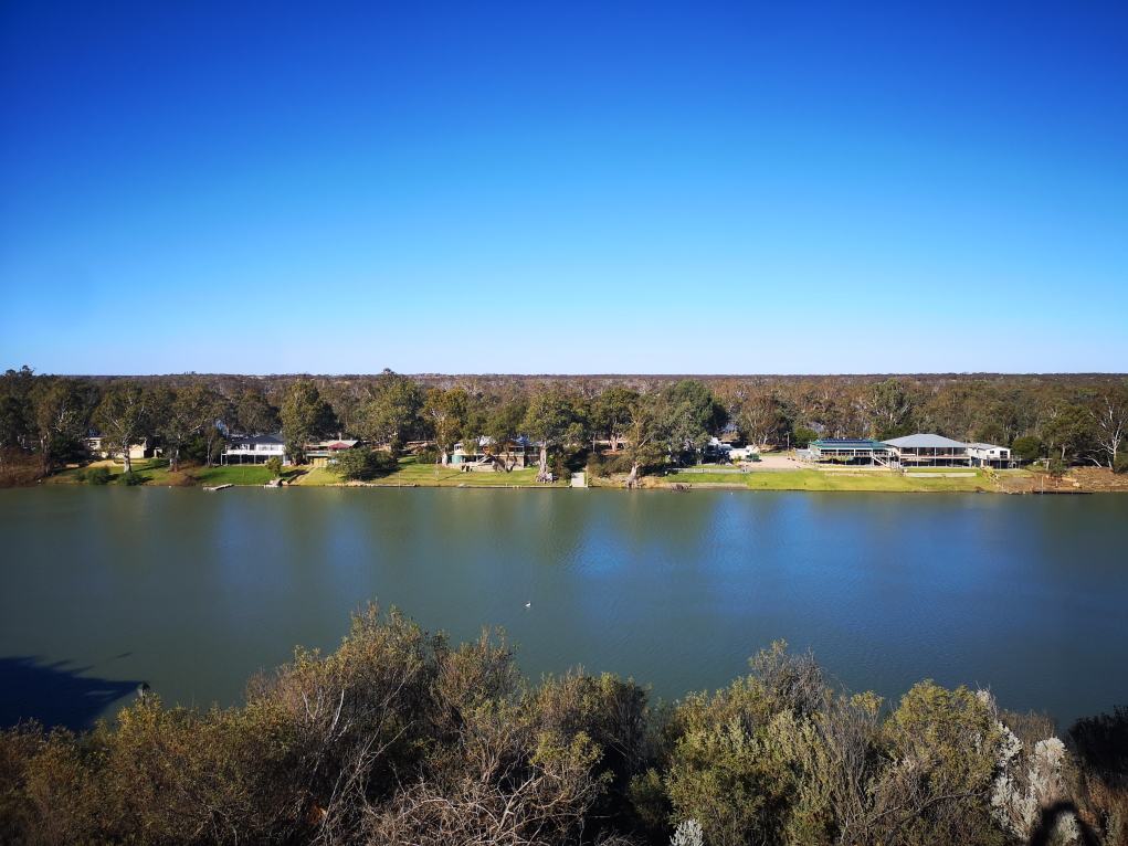 Vue sur la Murray River depuis le point de vue panoramique à Morgan