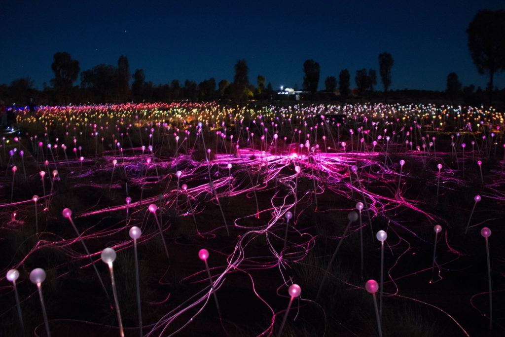 Plus de 50,000 leds illuminent le bush