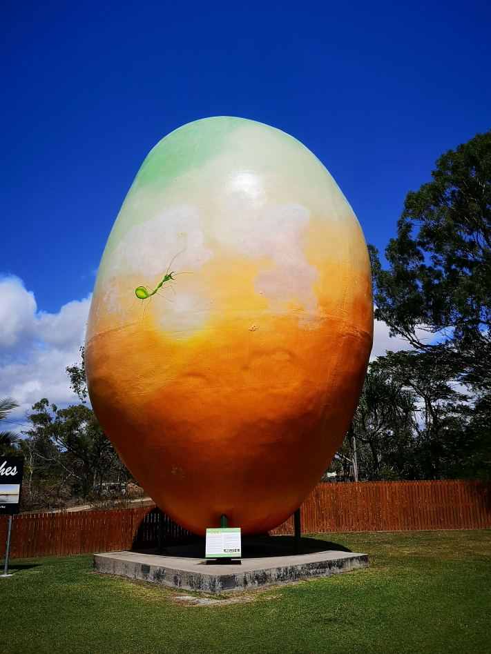 Big Mango de Bowen