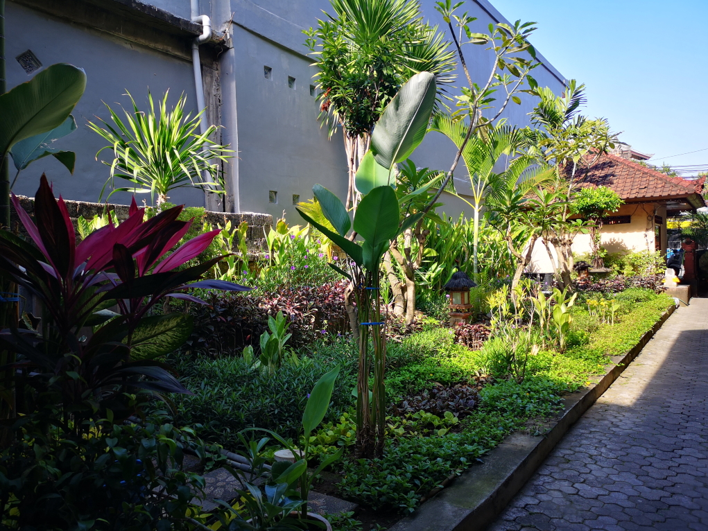 Le jardin de notre hôtel